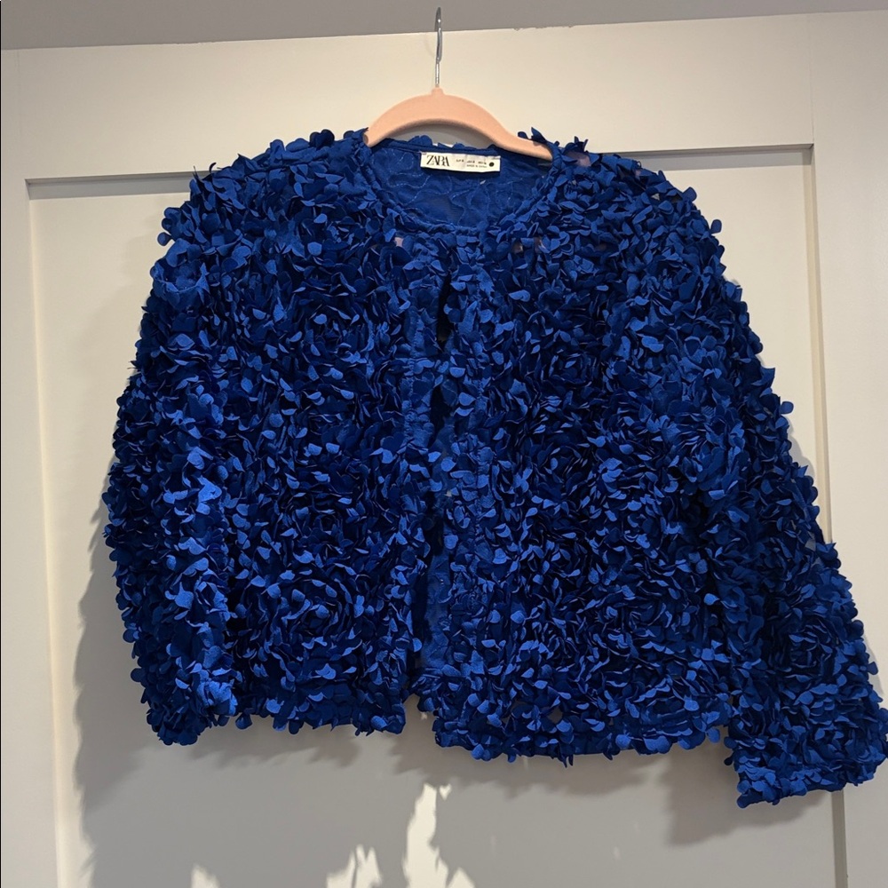 Zara Royal Blue Textured Cardigan